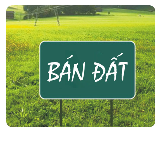 CÔNG TY CP ĐẤU GIÁ VÀ DV BĐS THIÊN VIỆT
THÔNG BÁO BÁN ĐẤU GIÁ TÀI SẢN TỈNH ĐỒNG NAI