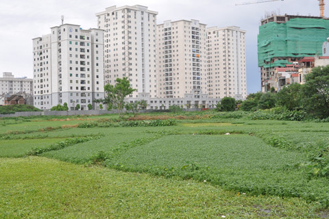 Khung giá đất chỉ bằng 20% thị trường