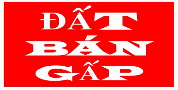 Quyền sở hữu nhà và quyền sử dụng đất tại số 3 căn nhà